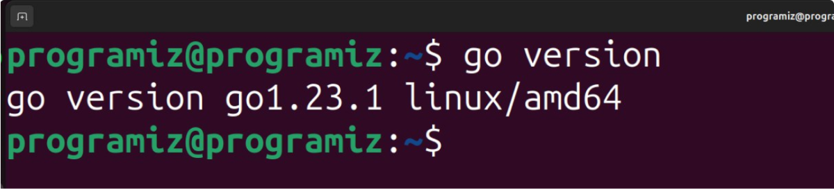 Check Go Version Ubuntu Check Go Version Ubuntu